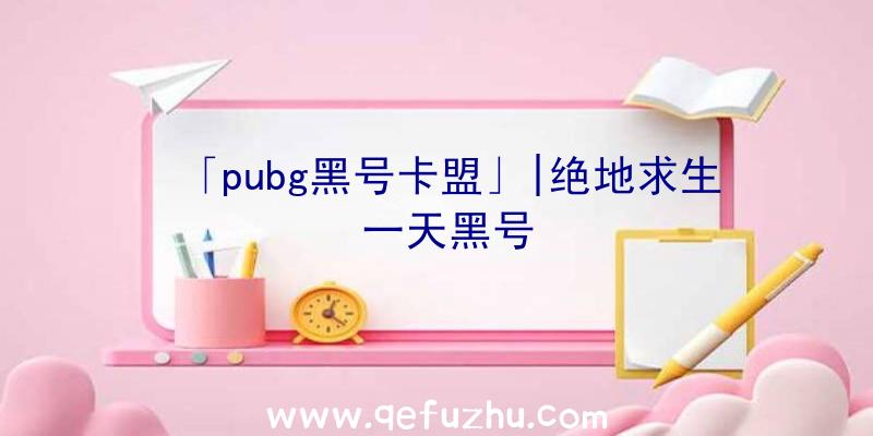 「pubg黑号卡盟」|绝地求生